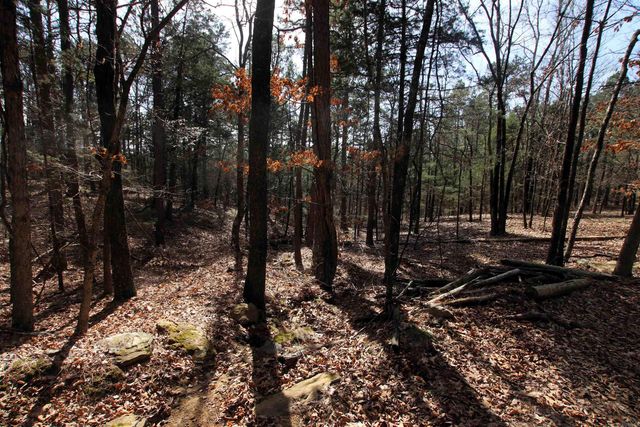 2986 E Mountain Road, Clinton, AR 72031