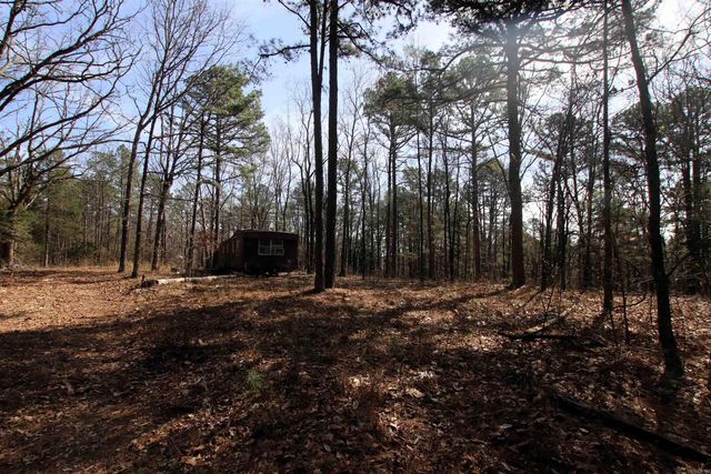 2986 E Mountain Road, Clinton, AR 72031
