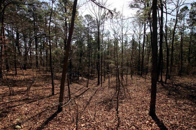 2986 E Mountain Road, Clinton, AR 72031