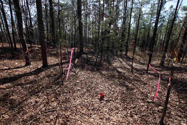 2986 E Mountain Road, Clinton, AR 72031