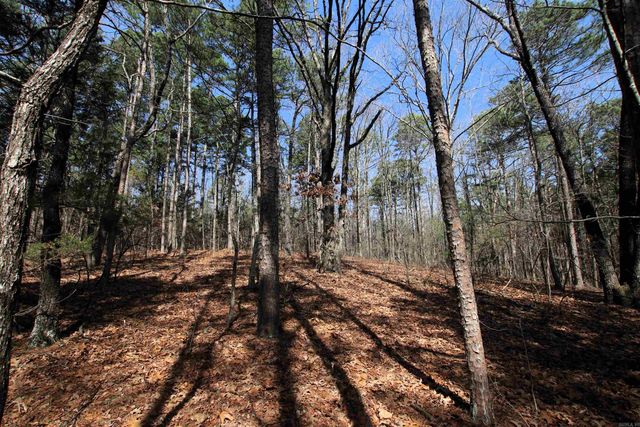 2986 E Mountain Road, Clinton, AR 72031