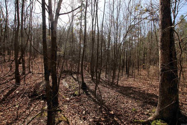 2986 E Mountain Road, Clinton, AR 72031