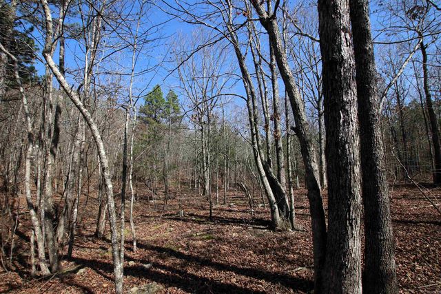 2986 E Mountain Road, Clinton, AR 72031