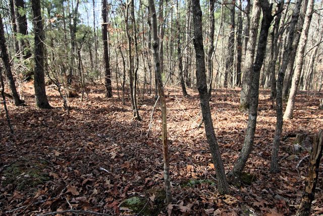 2986 E Mountain Road, Clinton, AR 72031