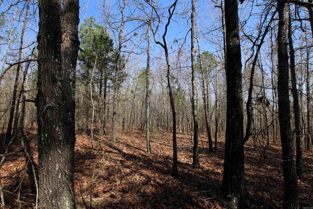 2986 E Mountain Road, Clinton, AR 72031