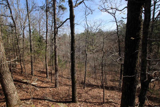 2986 E Mountain Road, Clinton, AR 72031