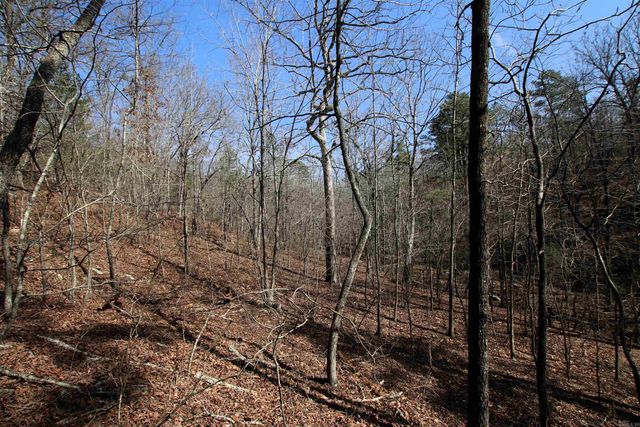 2986 E Mountain Road, Clinton, AR 72031