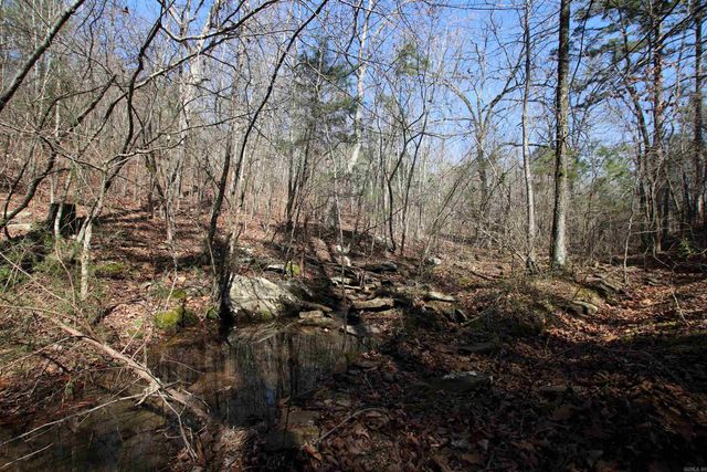 2986 E Mountain Road, Clinton, AR 72031