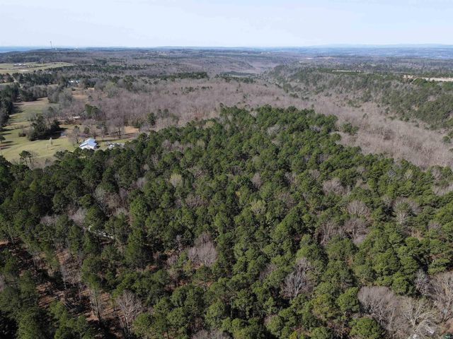 2986 E Mountain Road, Clinton, AR 72031