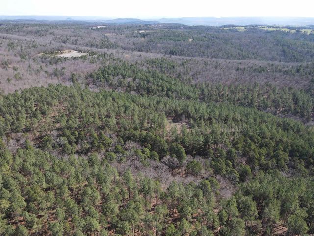 2986 E Mountain Road, Clinton, AR 72031