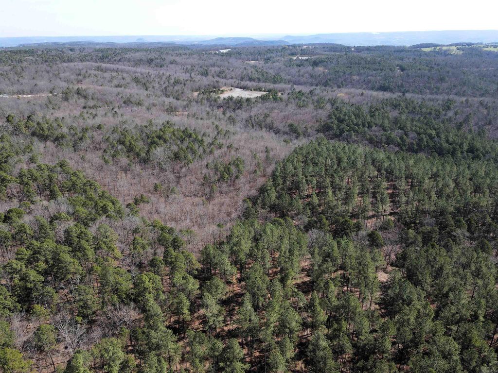 2986 E Mountain Road, Clinton, AR 72031
