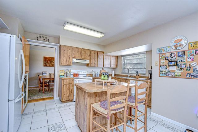 3805 BELL GRANDE DRIVE, Valrico, FL 33596