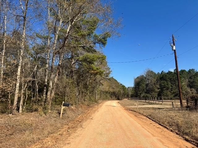 TBD Lee Turner Road, Cleveland, TX 77328