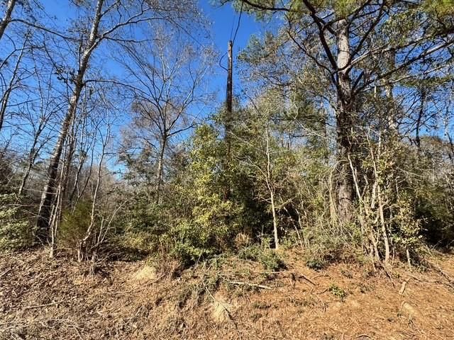 TBD Lee Turner Road, Cleveland, TX 77328