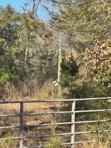 TBD Lee Turner Road, Cleveland, TX 77328