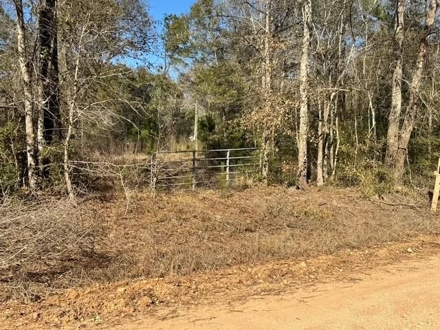 TBD Lee Turner Road, Cleveland, TX 77328