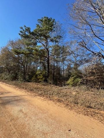 TBD Lee Turner Road, Cleveland, TX 77328