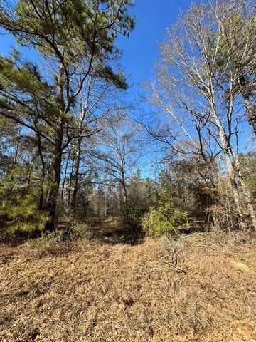 TBD Lee Turner Road, Cleveland, TX 77328