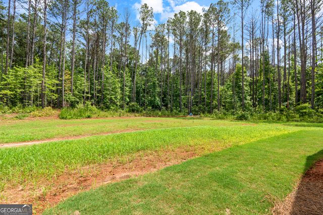134 Coyote Circle, Greenville, GA 30222