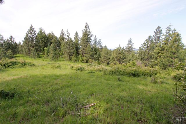 TBD Smokey Bear Ln, Kendrick, ID 83537