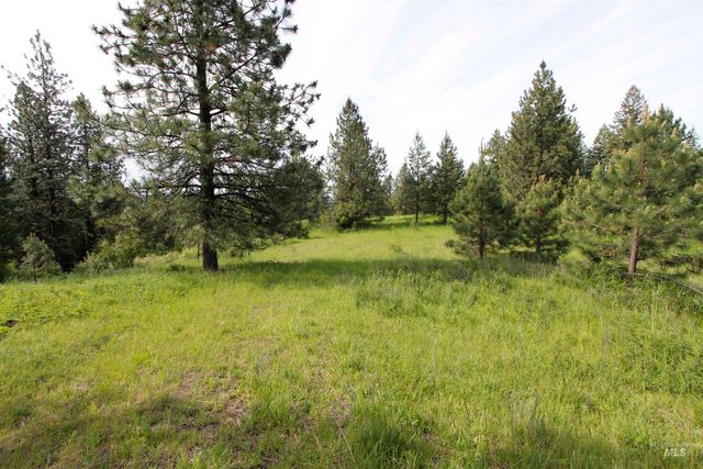 TBD Smokey Bear Ln, Kendrick, ID 83537