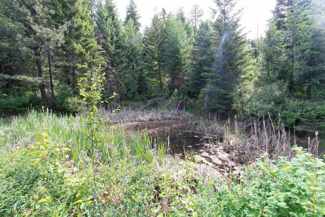 TBD Smokey Bear Ln, Kendrick, ID 83537