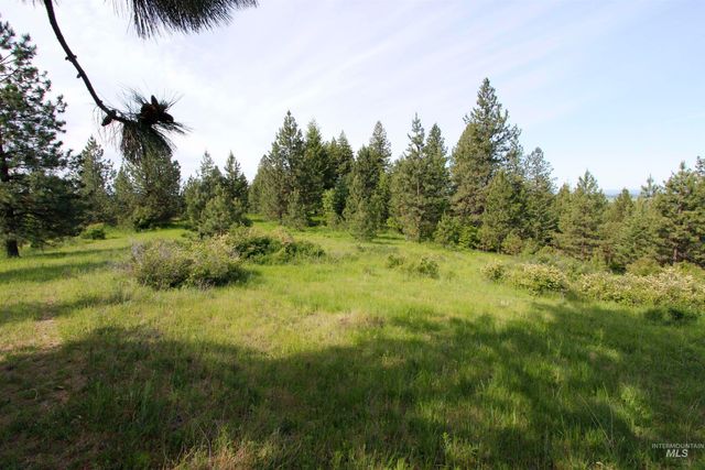 TBD Smokey Bear Ln, Kendrick, ID 83537