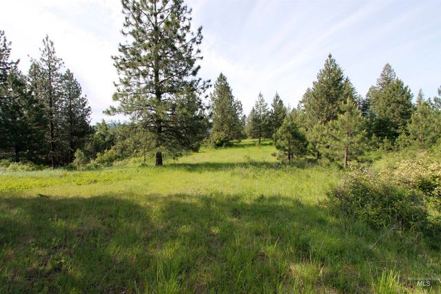 TBD Smokey Bear Ln, Kendrick, ID 83537