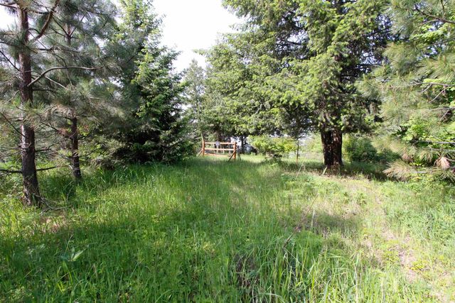 TBD Smokey Bear Ln, Kendrick, ID 83537