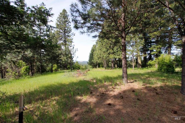 TBD Smokey Bear Ln, Kendrick, ID 83537