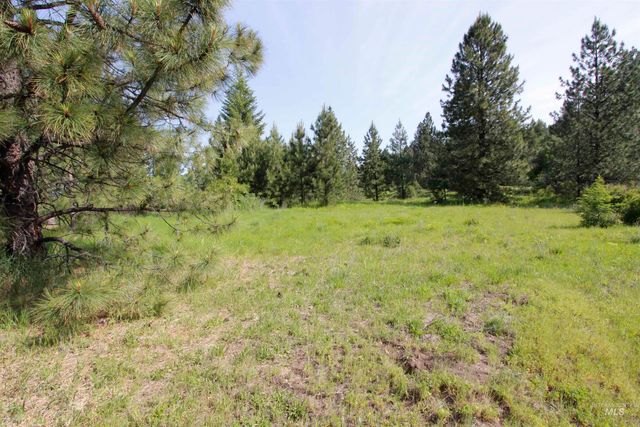 TBD Smokey Bear Ln, Kendrick, ID 83537