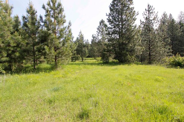 TBD Smokey Bear Ln, Kendrick, ID 83537