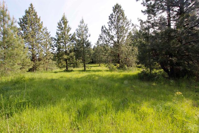 TBD Smokey Bear Ln, Kendrick, ID 83537