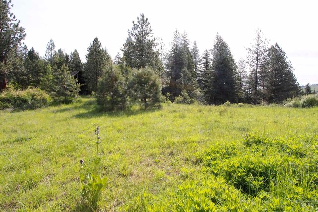 TBD Smokey Bear Ln, Kendrick, ID 83537