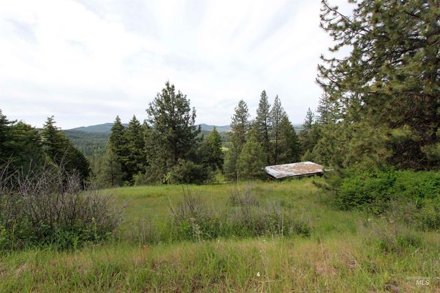 TBD Smokey Bear Ln, Kendrick, ID 83537