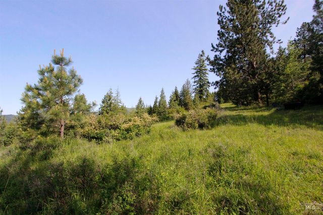 TBD Smokey Bear Ln, Kendrick, ID 83537