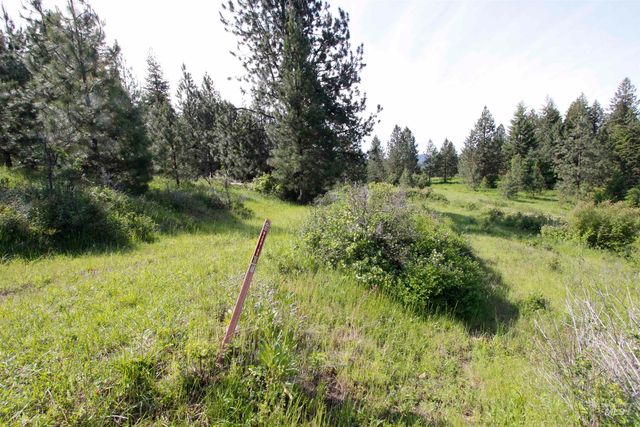 TBD Smokey Bear Ln, Kendrick, ID 83537