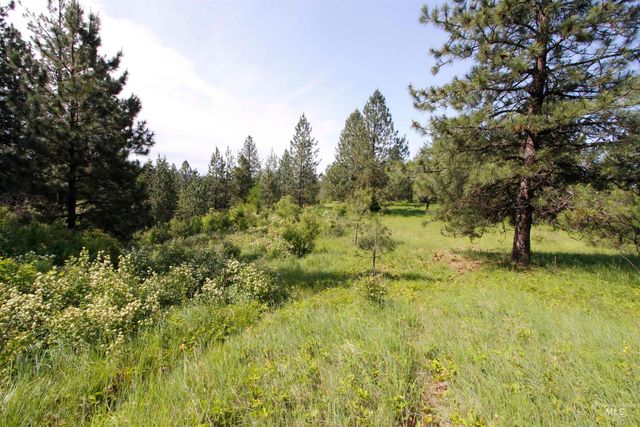 TBD Smokey Bear Ln, Kendrick, ID 83537