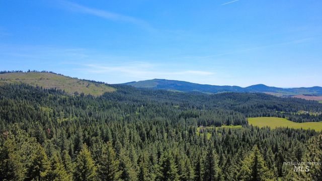TBD Smokey Bear Ln, Kendrick, ID 83537