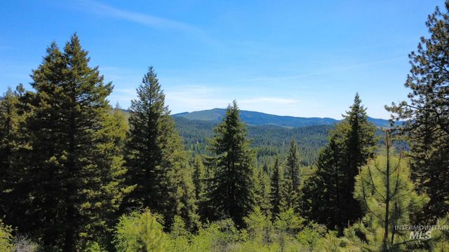 TBD Smokey Bear Ln, Kendrick, ID 83537