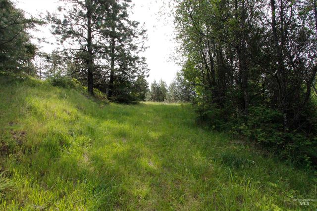 TBD Smokey Bear Ln, Kendrick, ID 83537