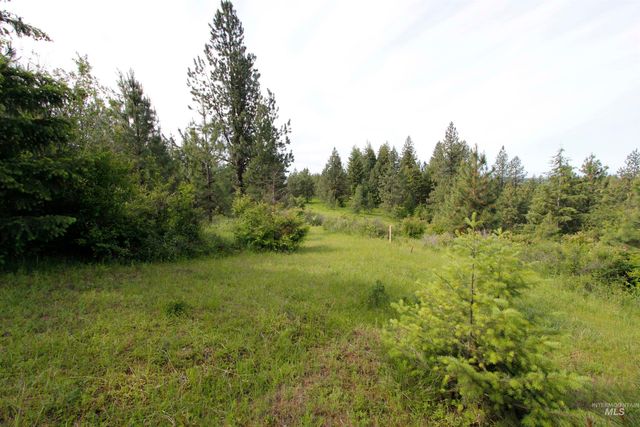 TBD Smokey Bear Ln, Kendrick, ID 83537