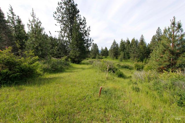 TBD Smokey Bear Ln, Kendrick, ID 83537