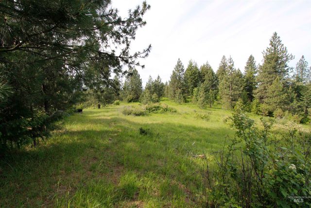 TBD Smokey Bear Ln, Kendrick, ID 83537