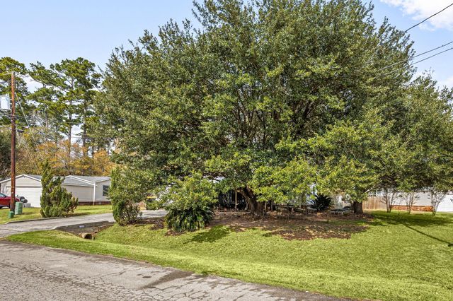 16213 Sunny Morning Court, Conroe, TX 77302