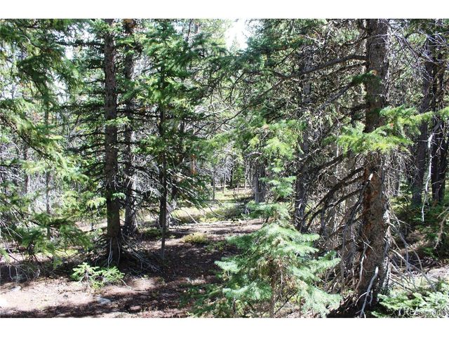 17577 Jackson, Black Hawk, CO 80422