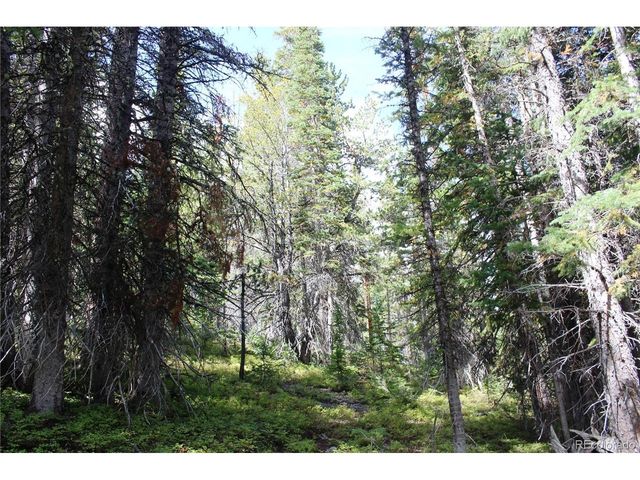 17577 Jackson, Black Hawk, CO 80422
