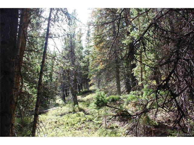 17577 Jackson, Black Hawk, CO 80422