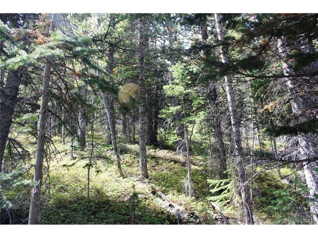 17577 Jackson, Black Hawk, CO 80422