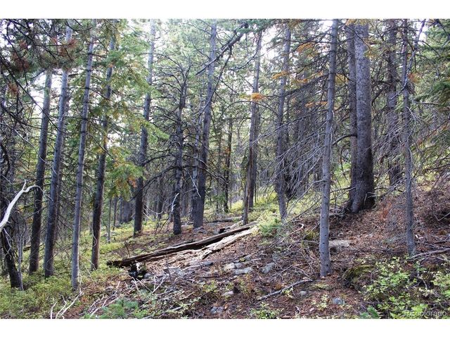 17577 Jackson, Black Hawk, CO 80422